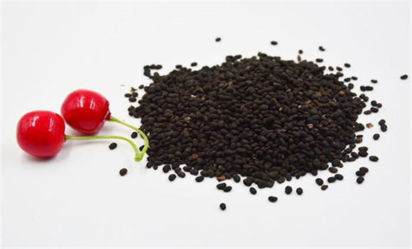 現(xiàn)代醫(yī)學對補骨脂的研究