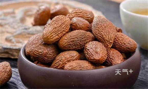 胖大海有降壓利尿、抗菌消炎的功效