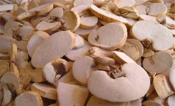 浙貝母的選購與儲(chǔ)存指南