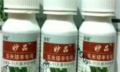 玉米矮化藥的成分 玉米矮化藥藥害的表現(xiàn)是什么