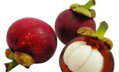 吃山竹有什么好處，山竹的功效與作用