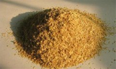 麥麩子是什么東西，麥麩喂羊有什么好處？