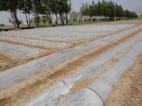 選好地塊，合理輪作