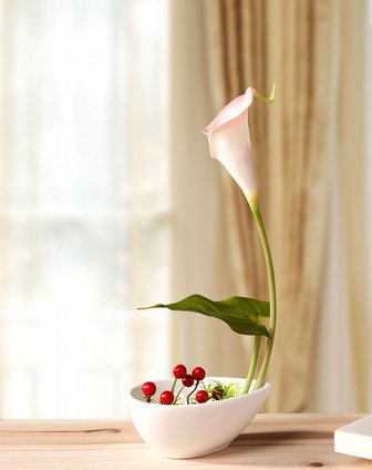 白馬蹄蓮的功效與作用 馬蹄蓮的作用與功效