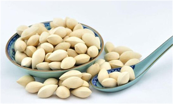 白果用法、用量與禁忌