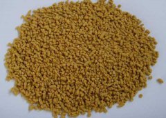 為什么要使用乳豬教槽料？乳豬如何飼喂教槽料