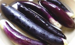 怎樣保存茄子？茄子貯藏保鮮方法