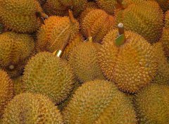 榴蓮的產(chǎn)地有哪些地方？