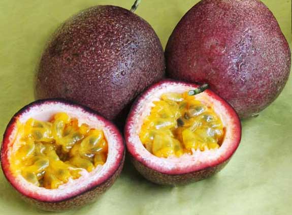 百香果種植技術(shù) 百香果種植方法