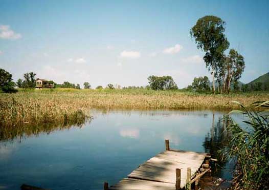 靜水土池塘的方法、步驟及其高產(chǎn)增收措施