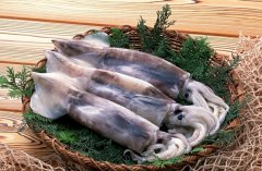 魷魚(yú)的營(yíng)養(yǎng)價(jià)值與功效