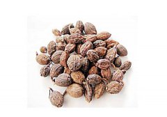 草果是什么？