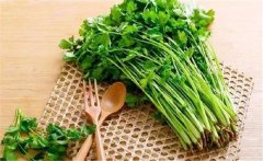 什么是食物的辛酸甘苦咸？各類食物的作用特點