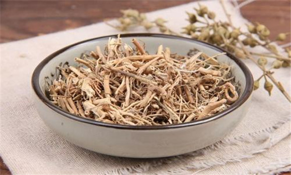 白前用法，用量與禁忌