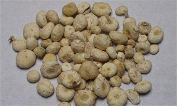 天南星的用法、用量與禁忌