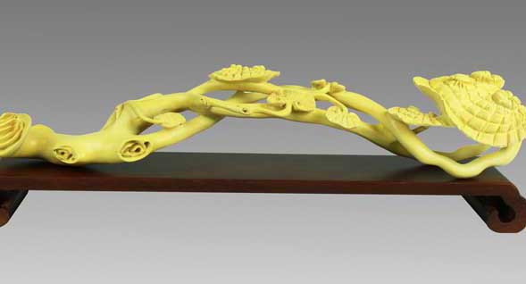 黃楊木價格為什么這么貴? 黃楊怎么養(yǎng)