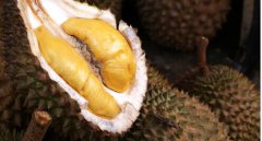 榴蓮籽的營養(yǎng)價(jià)值有哪些？榴蓮籽的功效與作用