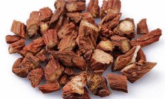 丹參的性能、主治、臨床應(yīng)用及用藥注意事項(xiàng)