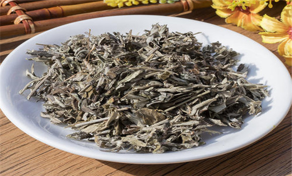 艾葉的用法、用量與禁忌