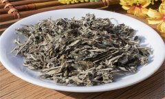 艾葉的性能、主治、臨床應(yīng)用及注意事項(xiàng)