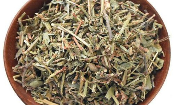 萹蓄的用法、用量與禁忌