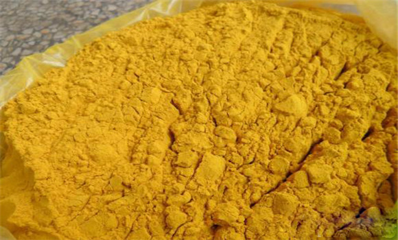 蒲黃的用法、用量與禁忌