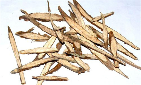 常山的用法、用量與禁忌