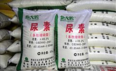 氮肥利用率大約是多少，氮肥是尿素肥嗎？