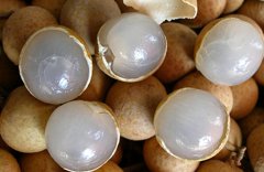 桂圓上火嗎?桂圓的功效及作用有哪些