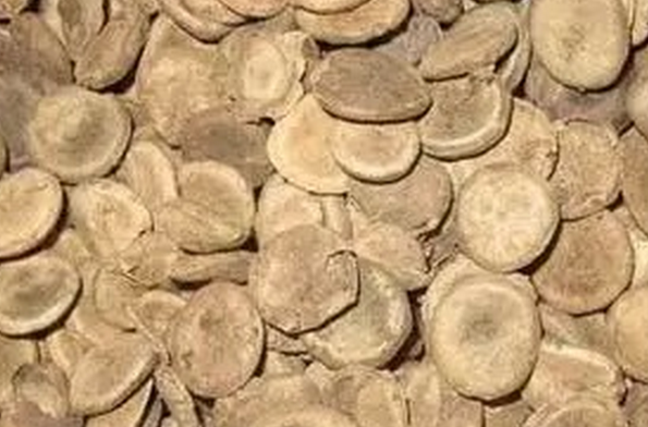 馬錢子圖片 馬錢子的功效與作用 馬錢子的作用與功效