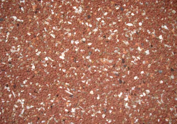 鴿子養(yǎng)殖技術