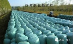 青貯飼料的調(diào)制方法、技術(shù)要點(diǎn)與注意事項(xiàng)