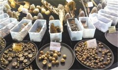 怎樣安全貯存蔬菜種子？蔬菜種子知識