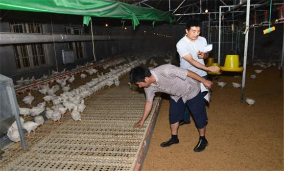 無污染、零排放