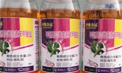 bt殺蟲劑的最佳使用方法，需掌握以下四點