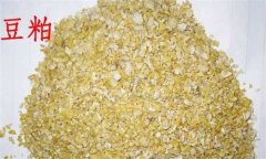 養(yǎng)魚常用的蛋白質(zhì)飼料有哪些？