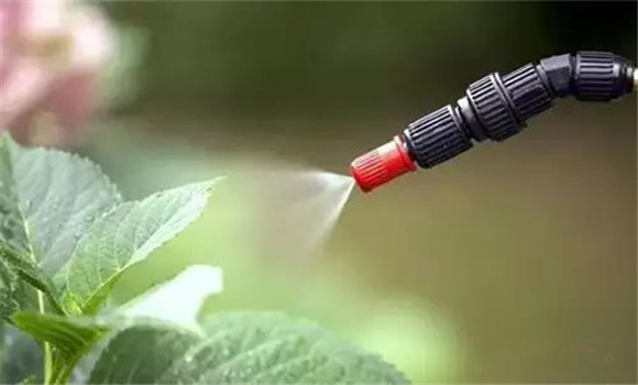 保管、貯藏劇毒注意事項