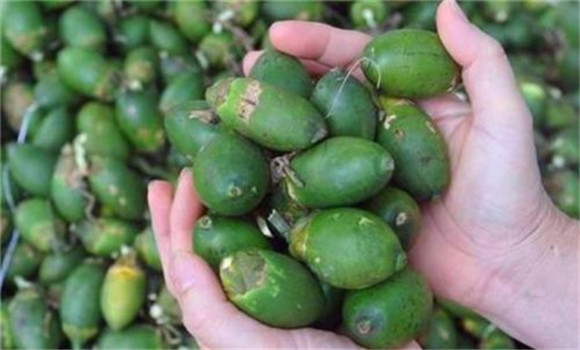 購買、挑選檳榔小技巧