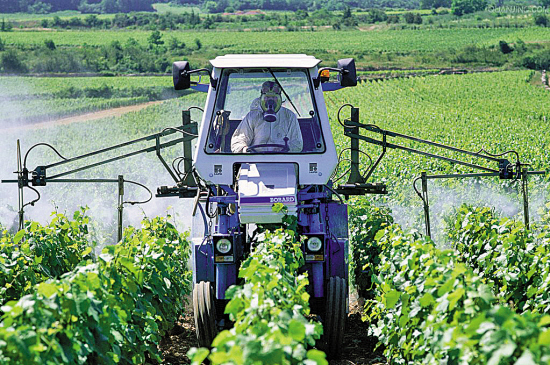 夏天打農(nóng)藥要看時間 農(nóng)藥知識