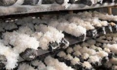 銀耳的蟲害主要有哪些，如何防治