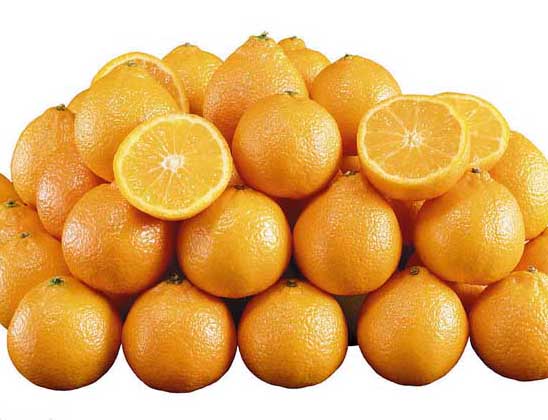 果樹種植管理方法