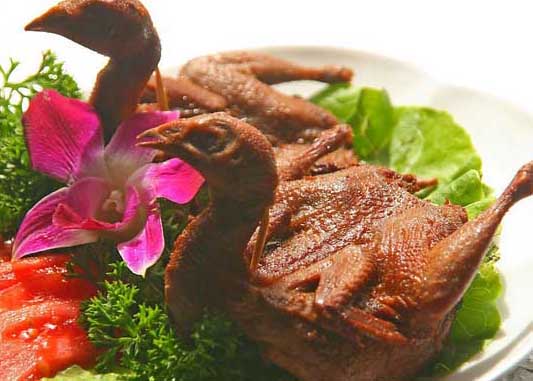 鵪鶉養(yǎng)殖技術