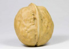 核桃的功效與作用有哪些，吃核桃有什么好處？