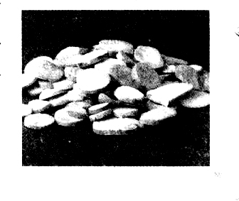 白芍的食用方法舉例白芍的功效與作用 白芍的功效與作用