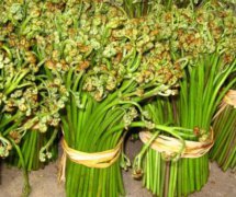 蕨菜的營養(yǎng)價值有哪些？