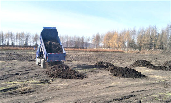 棉花田間管理技術(shù)要點(diǎn)、管理內(nèi)容及具體措施