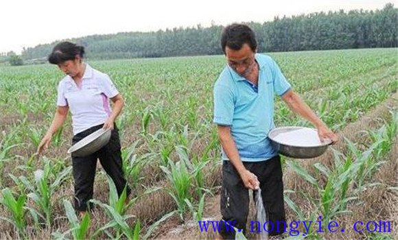 氮、磷、鉀肥配合施用