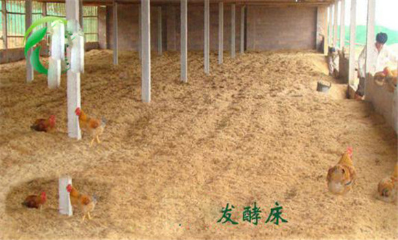 提升空氣質(zhì)量，減輕呼吸道炎癥等疾病