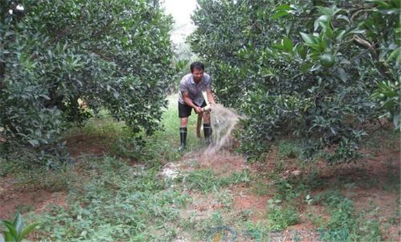 加強水分管理，防洪抗旱