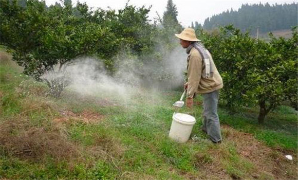 防好病蟲，保護葉片